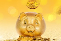 急需资金却无法贷款，解决之道何在？