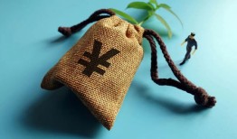 贷款总额按月供计算器专业评估工具